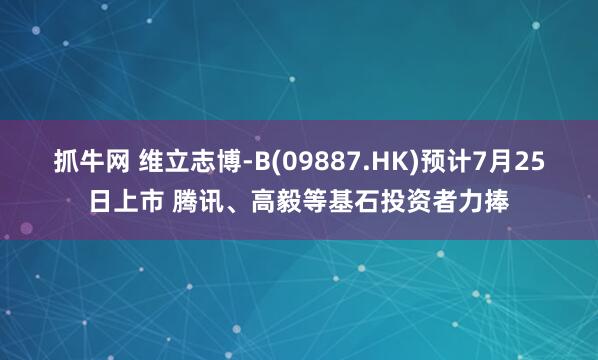 抓牛网 维立志博-B(09887.HK)预计7月25日上市 腾讯、高毅等基石投资者力捧