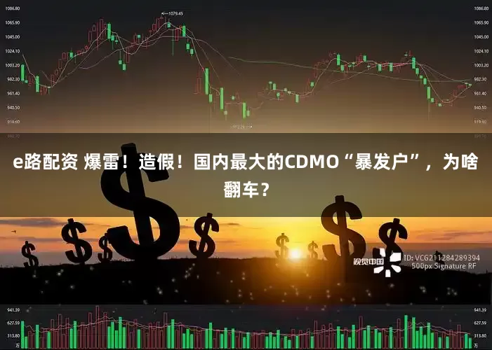 e路配资 爆雷！造假！国内最大的CDMO“暴发户”，为啥翻车？
