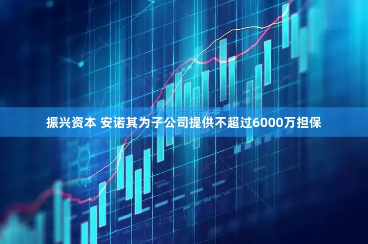 振兴资本 安诺其为子公司提供不超过6000万担保