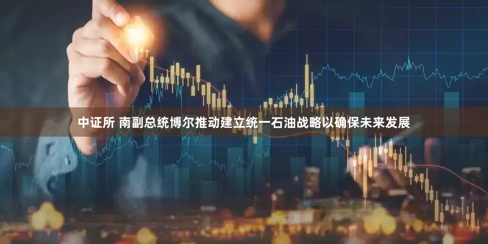中证所 南副总统博尔推动建立统一石油战略以确保未来发展