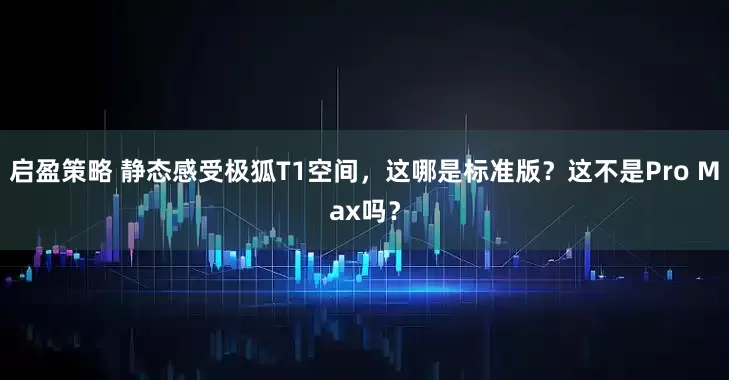 启盈策略 静态感受极狐T1空间，这哪是标准版？这不是Pro Max吗？