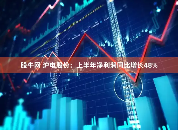 股牛网 沪电股份：上半年净利润同比增长48%