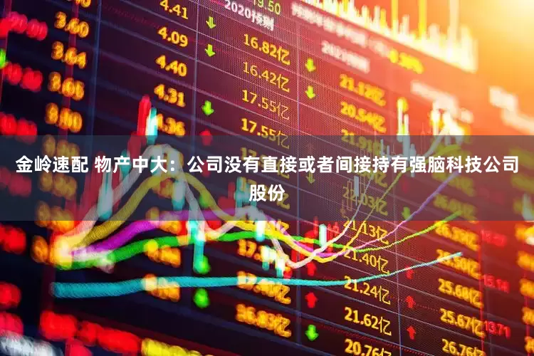 金岭速配 物产中大：公司没有直接或者间接持有强脑科技公司股份