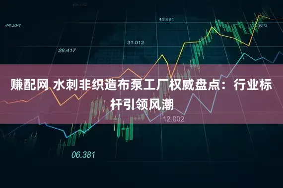 赚配网 水刺非织造布泵工厂权威盘点：行业标杆引领风潮